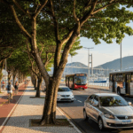 Guia de Transporte em Florianópolis_ Como se Locomover Pela Ilha